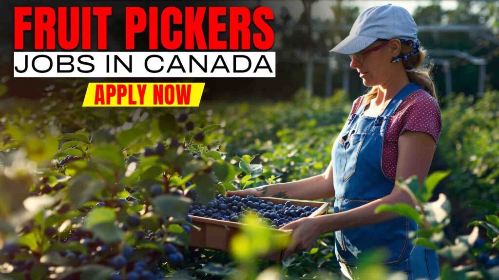 Fruit Pickers Canada.jpg (2)